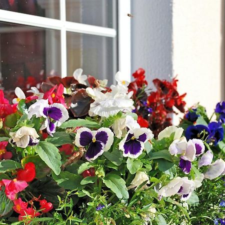 Lemongrove House Bed & Breakfast Enniscorthy Exterior photo